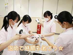 動物看護科のカラーリング実習♪